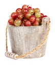 Ripe gooseberry in wooden bucket Royalty Free Stock Photo