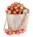 Ripe gooseberry in wooden bucket Royalty Free Stock Photo