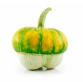 Ripe Gourds Vegetable Hybrid Isolated on White Royalty Free Stock Photo