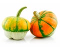 Ripe Gourds Vegetable Hybrid Isolated on White Royalty Free Stock Photo
