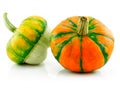 Ripe Gourds Vegetable Hybrid Isolated on White Royalty Free Stock Photo