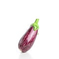 Ripe graffiti eggplant isolated on a white background. Food concept Royalty Free Stock Photo