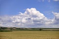 Ripe grain field and beautiful blue sky with clouds Royalty Free Stock Photo