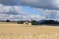 ripe grain fields around Fraukirch