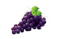 Ripe grape