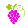 Ripe grape bunch vector icon