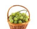 Ripe grape bunches in wicker basket isolated close up Royalty Free Stock Photo