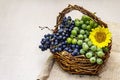 Ripe grapes in handmade basket