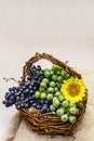 Ripe grapes in handmade basket