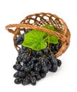 Ripe grapes with leaves in a wicker basket Royalty Free Stock Photo