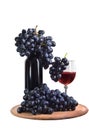 Blue grapes and a bottle of red wine isolated on a white background.  Agriculture. Royalty Free Stock Photo