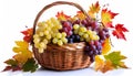 Ripe Grapes in a Wicker Basket on White Background - Generative Ai Royalty Free Stock Photo