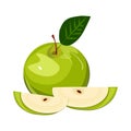 Ripe green apple with leaf slice isolated vector. Royalty Free Stock Photo