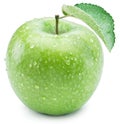 Ripe green apple with water drops on it. Royalty Free Stock Photo