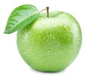 Ripe green apple with water drops on it. Royalty Free Stock Photo
