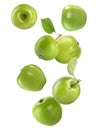 Ripe green apples falling on background