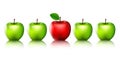 Ripe green apples and one red apple for you design