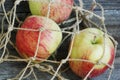 Ripe green apples in a string bag Royalty Free Stock Photo