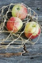 Ripe green apples in a string bag Royalty Free Stock Photo