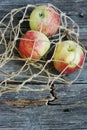 Ripe green apples in a string bag Royalty Free Stock Photo