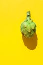 Ripe green artichoke on solid yellow background. Hard light harsh shadows. Trendy funky minimalist style. Creative food poster