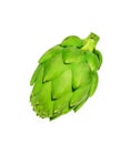 Ripe green artichoke vegetable Royalty Free Stock Photo