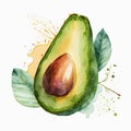 Ripe green avocado, cut in half. Illustration of an avocado fruit on a white background. Proper nutrition Royalty Free Stock Photo