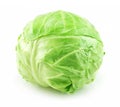 Ripe Green Cabbage Isolated on White Royalty Free Stock Photo