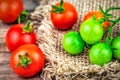 Ripe and green cherry tomato on burlap napkin Royalty Free Stock Photo