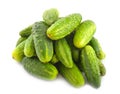 Ripe green cucumbers Royalty Free Stock Photo