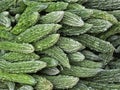 Ripe green cucumbers Royalty Free Stock Photo