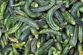 Ripe green cucumbers Royalty Free Stock Photo