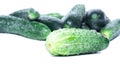 Ripe green cucumbers isolated on a white background Royalty Free Stock Photo