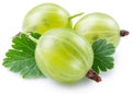 Ripe green gooseberries with leaf on white background. File contains clipping path Royalty Free Stock Photo