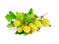 Ripe Green Gooseberry on a White Background