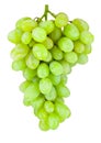 Ripe green grape hanging isolated on white background Royalty Free Stock Photo