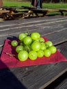 Ripe and green grapes on a red napkin on a wooden table. Healty snack in nature