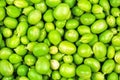 Ripe green pea texture Royalty Free Stock Photo