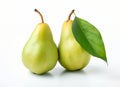 Two fresh ripe pears with leaf Royalty Free Stock Photo