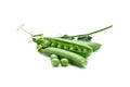 Ripe green peas on a white background. An isolated object. Royalty Free Stock Photo