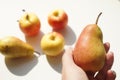 Ripe green red pear in female hand. White sunny table with apples and pears on the background Royalty Free Stock Photo