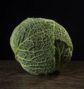 Ripe green savoy cabbage. Royalty Free Stock Photo