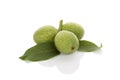 Ripe green wallnuts