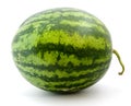 Ripe green watermelon