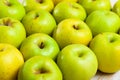 Ripe green and yellow apples Royalty Free Stock Photo