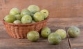 Ripe greengage Royalty Free Stock Photo