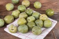 Ripe greengage Royalty Free Stock Photo