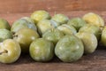 Ripe greengage Royalty Free Stock Photo