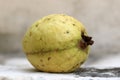 Ripe guava