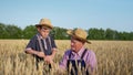 Ripe harvest, elderly man with male child inspect ripe ears of wheat while walking in field